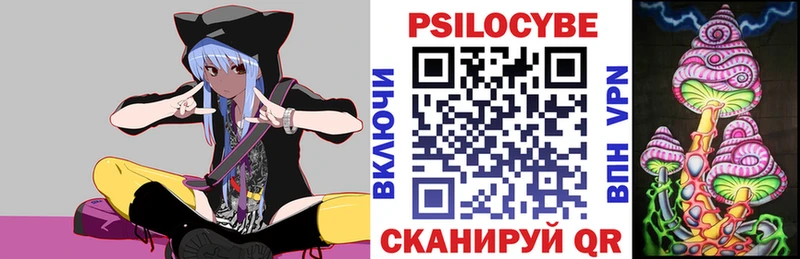 ссылка на мегу как войти  цены   Цоци-Юрт  Псилоцибиновые грибы прущие грибы 